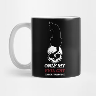 only my cat understands me Mug